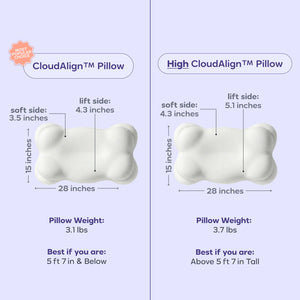 Too Cool For School CloudAlign Bundle